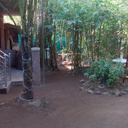 Samartha Cottage, Varsoli Алибаг Экстерьер фото