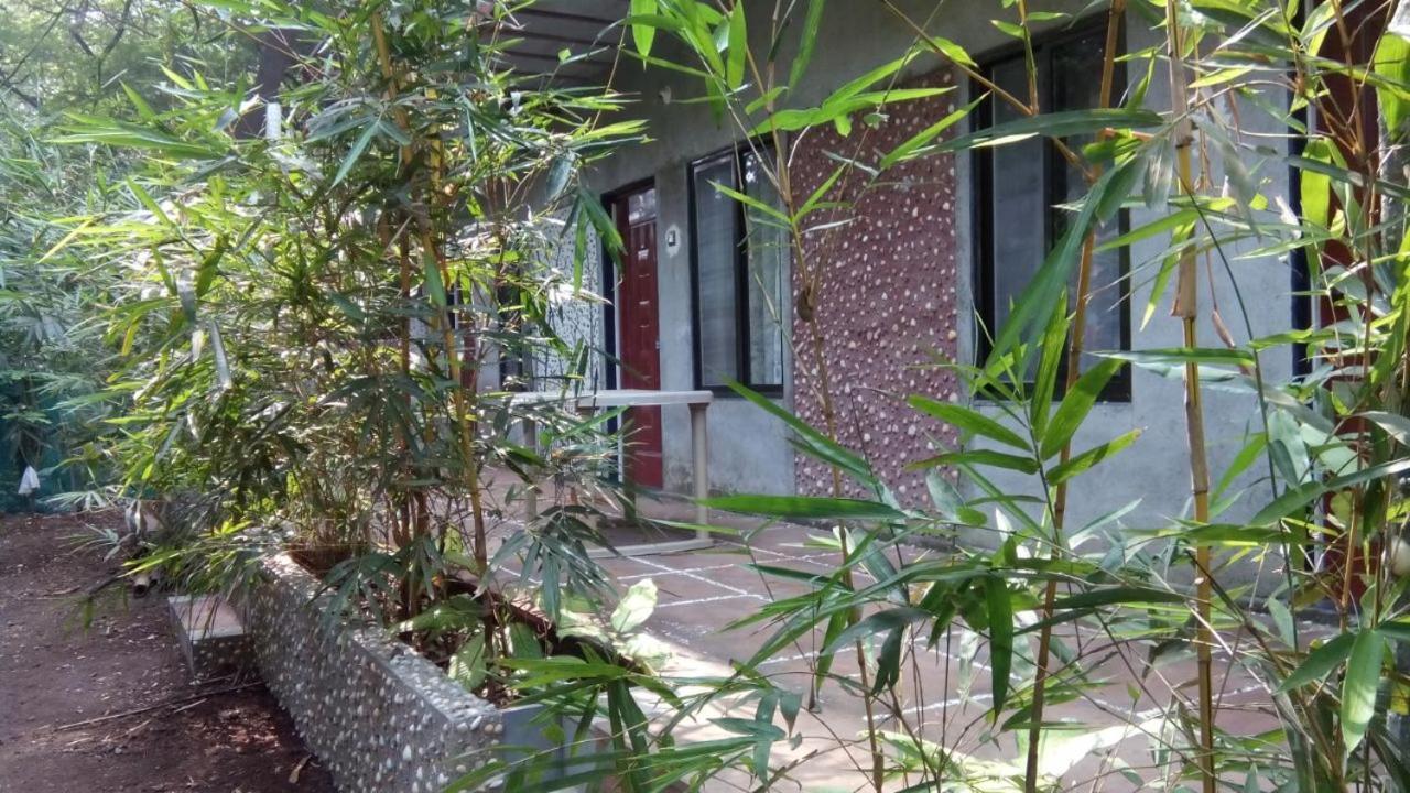 Samartha Cottage, Varsoli Алибаг Экстерьер фото